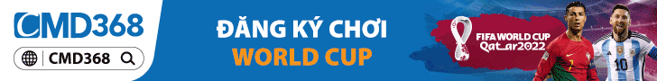 Catfish Banner